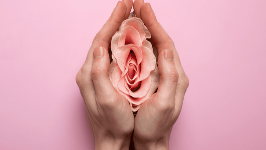 Rosenblüte von zwei Händen umschlossen, symbolisch für eine Vagina