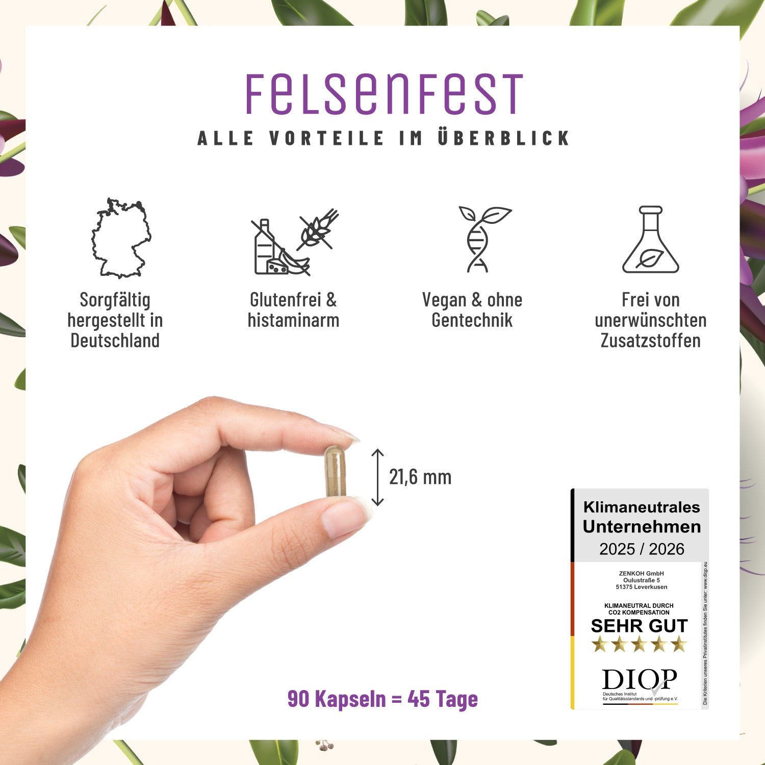 Felsenfest Passionsblume-Baldrian-Johanniskraut-Komplex Alle Vorteile