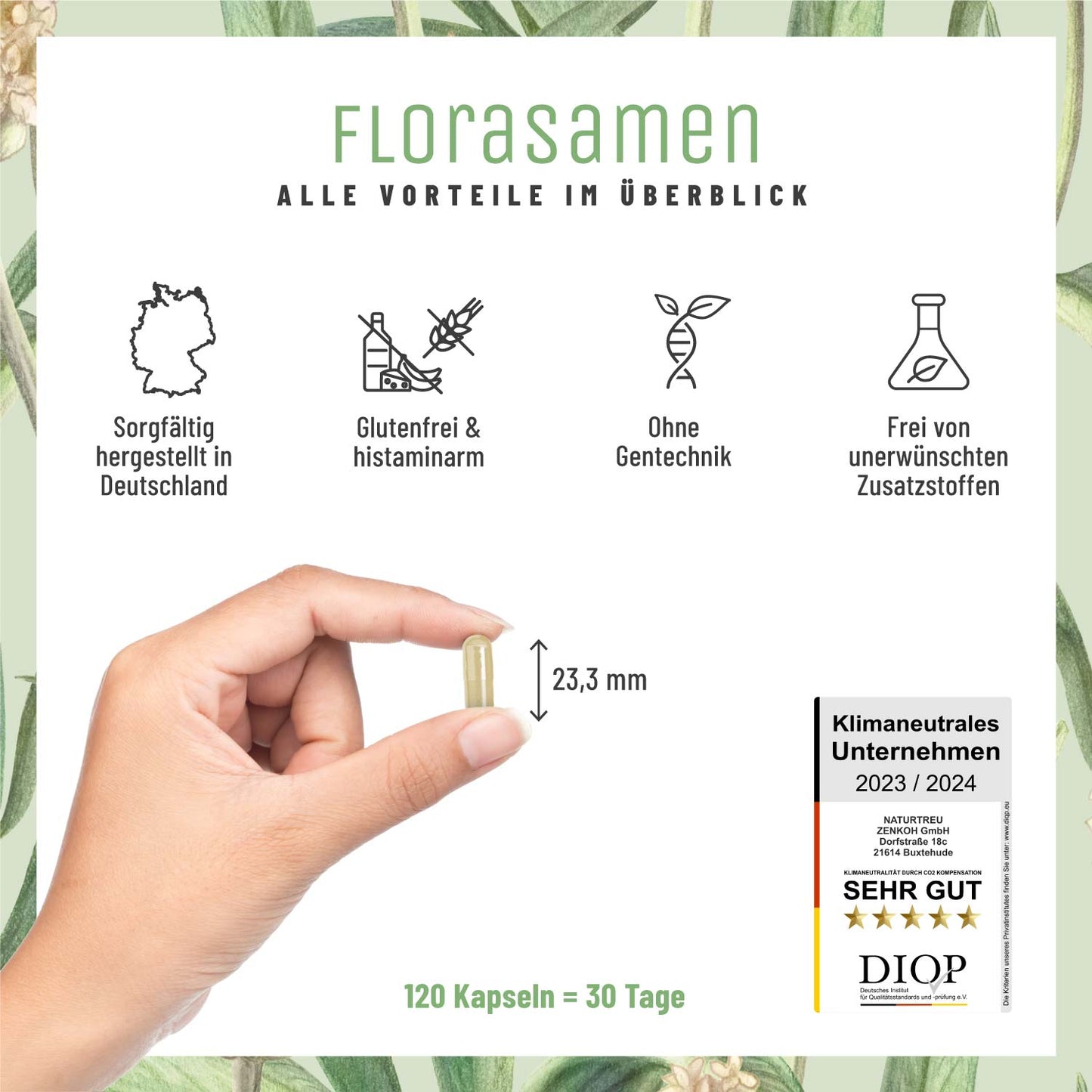 Florasamen Verdauungs Komplex Alle Vorteile