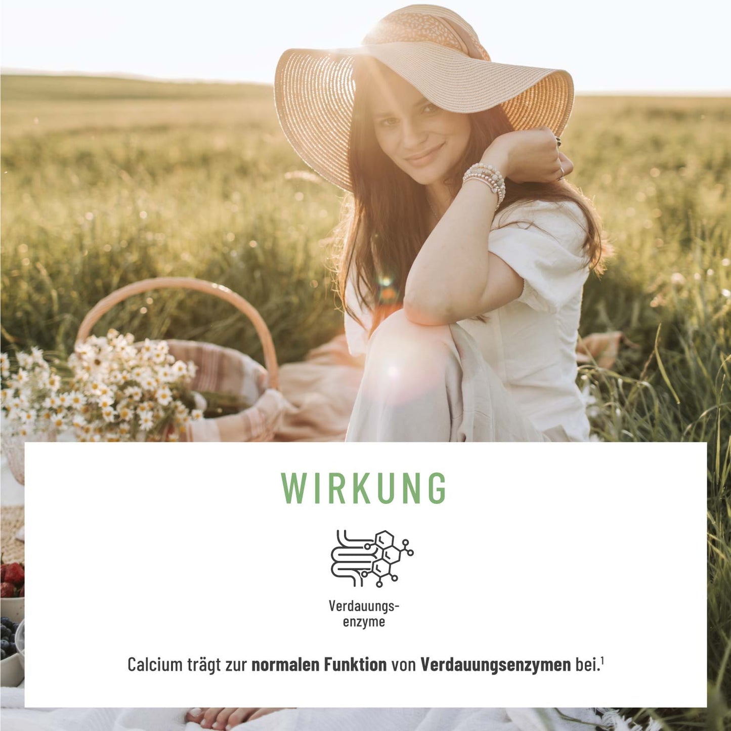 Florasamen Verdauungs Komplex MoodbildWirkung