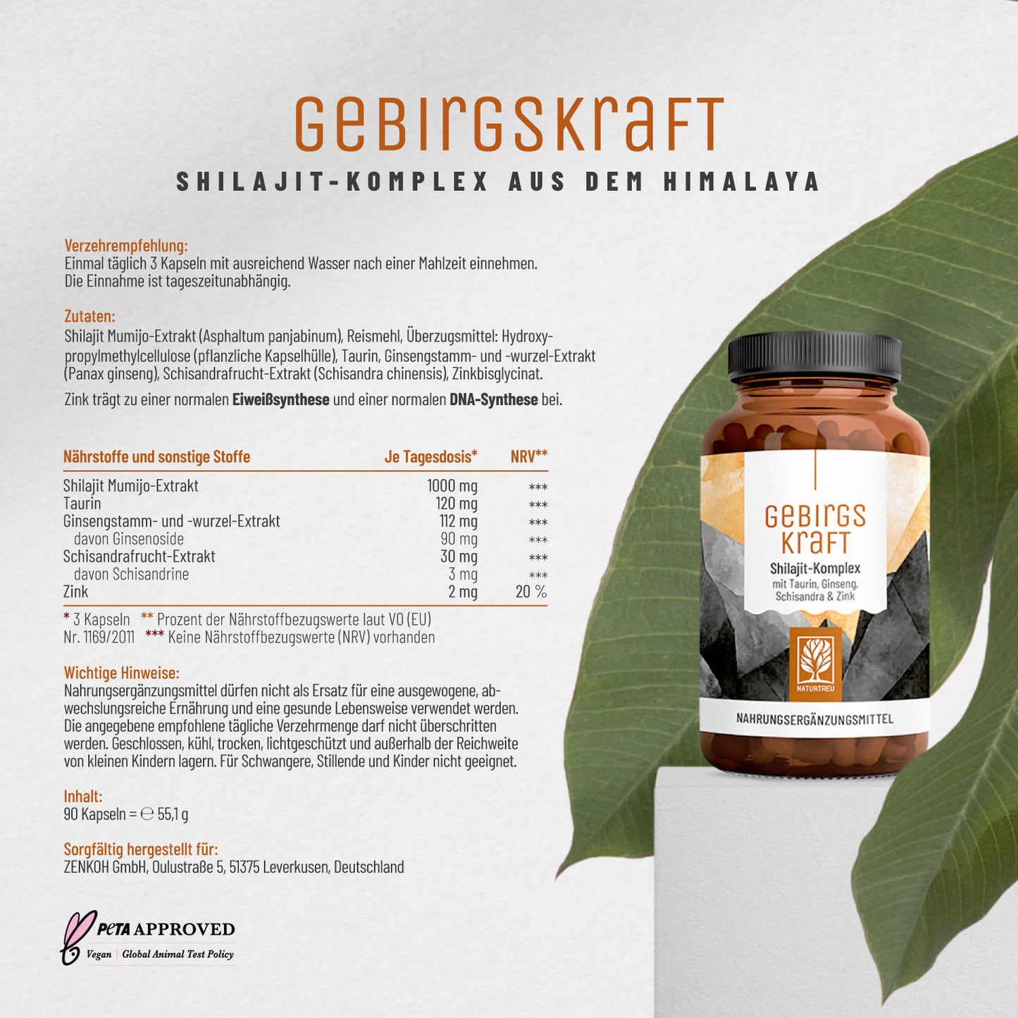 Gebirgskraft Shilajit-Komplex Etikett 01