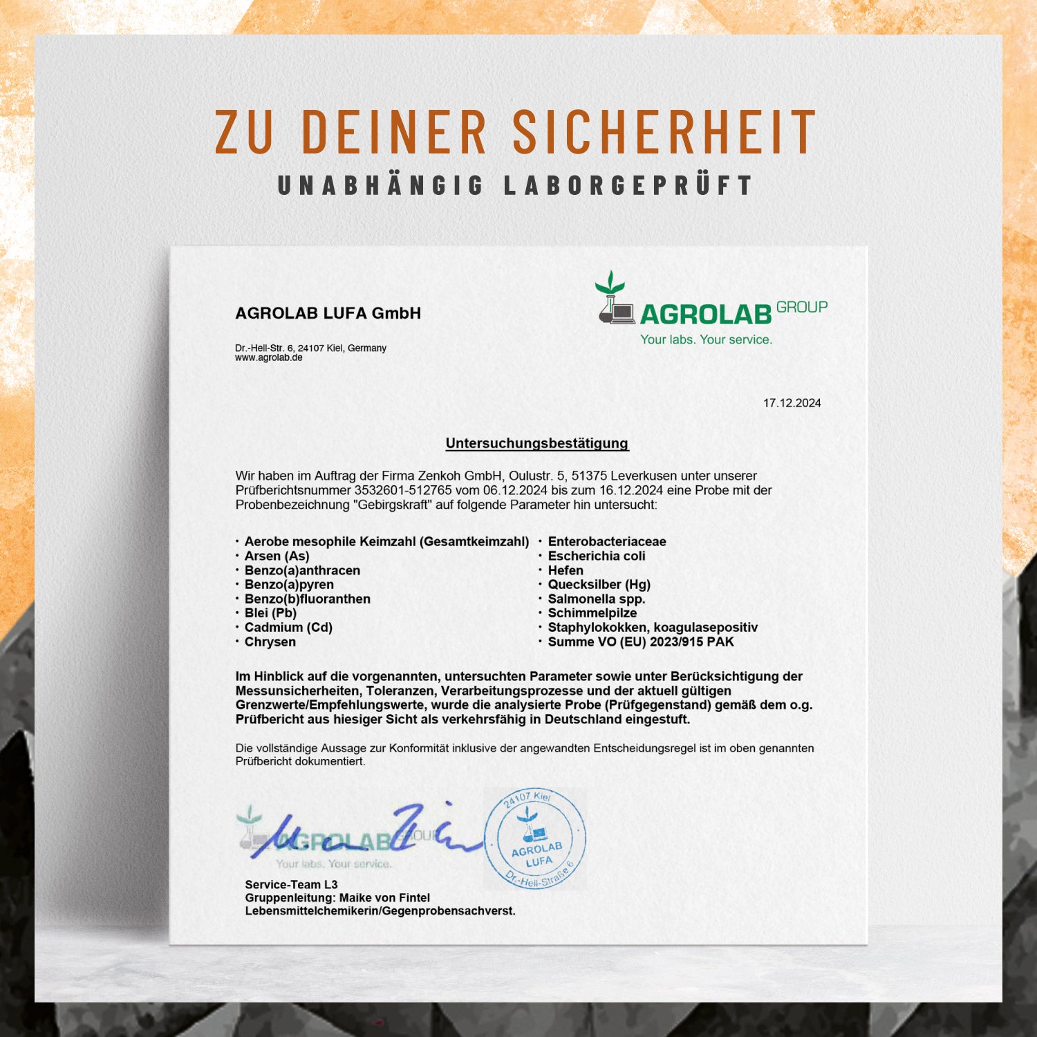 Gebirgskraft Shilajit-Komplex Laborzertifikat