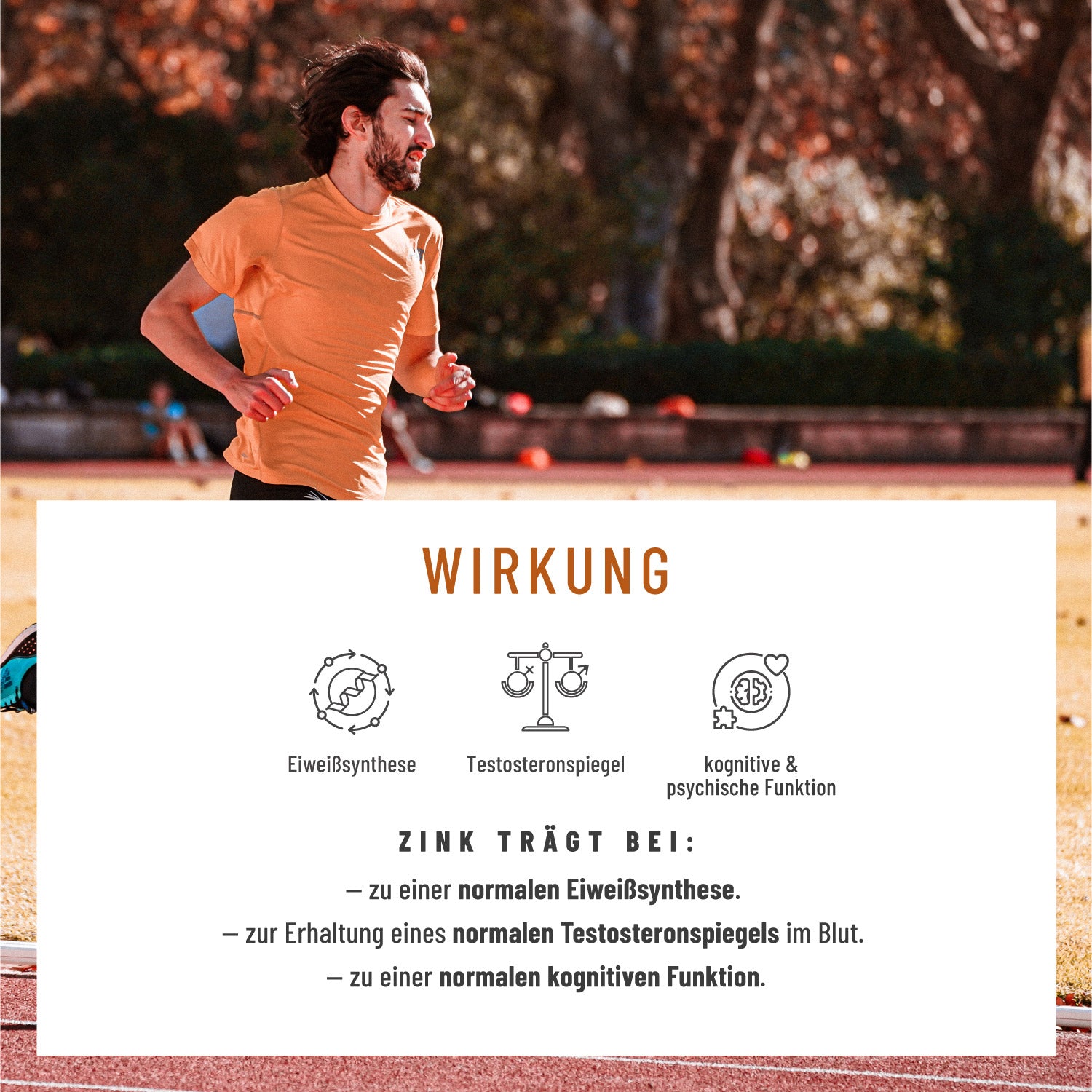 Gebirgskraft Shilajit-Komplex Moodbild Wirkung