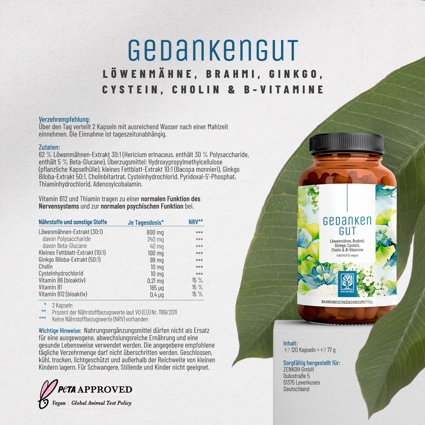 Gedankengut Löwenmähne Brahmi Ginkgo Cystein Cholin B-Vitamine Etikett1_DE