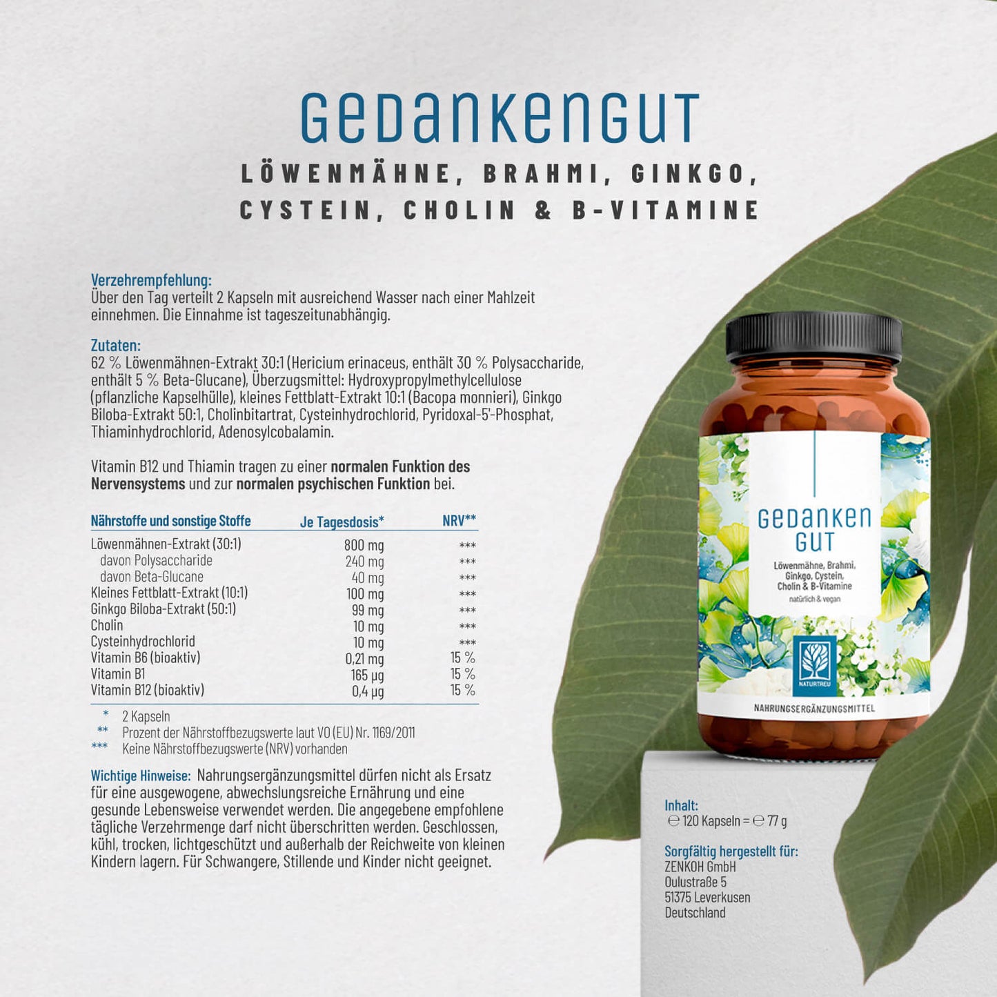 Gedankengut Löwenmähne Brahmi Ginkgo Cystein Cholin B-Vitamine Etikett1_DE