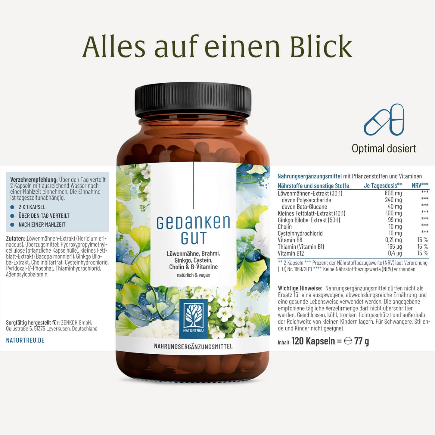 Gedankengut Löwenmähne Brahmi Ginkgo Cystein Cholin B-Vitamine Etikett1_DE