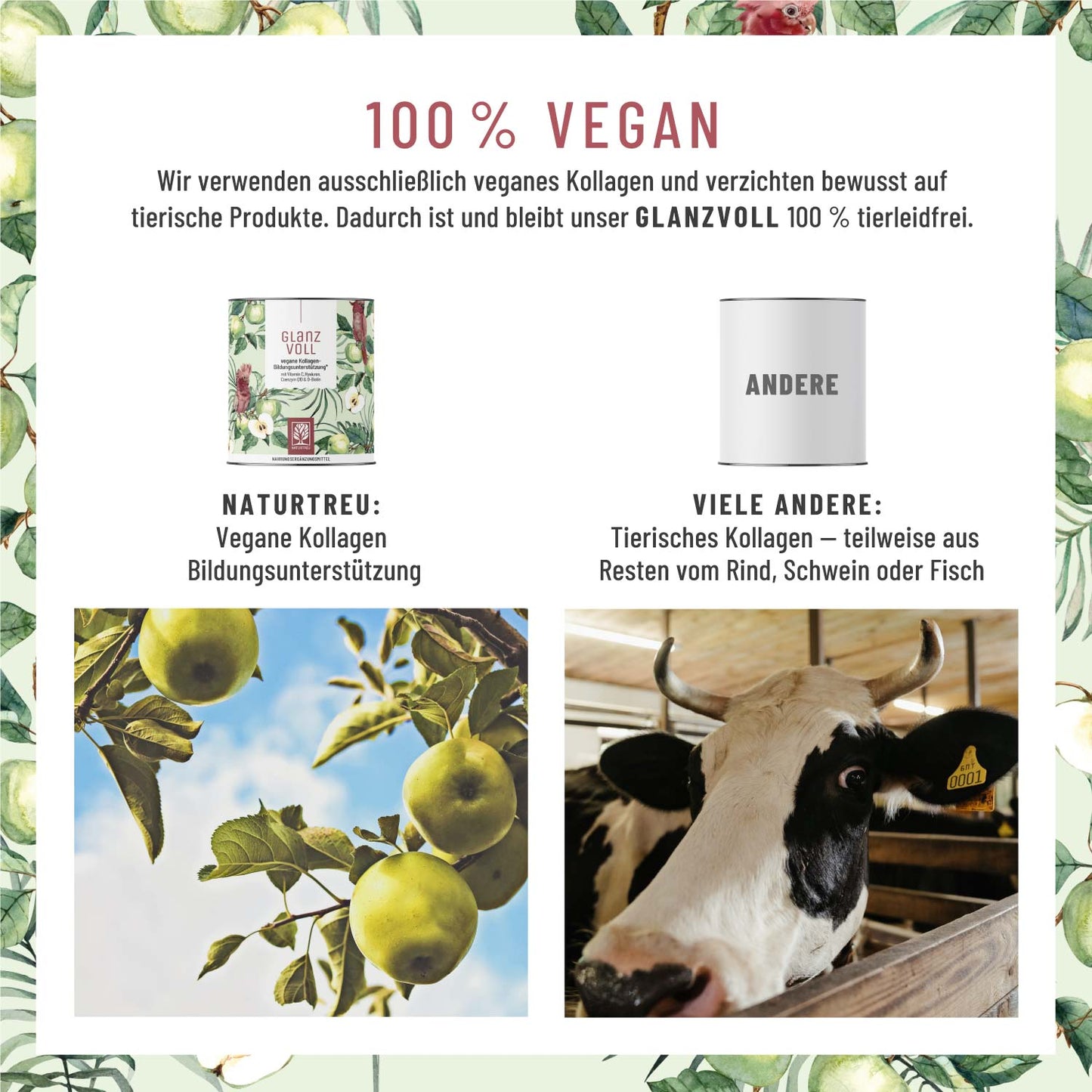 Glanzvoll Vegane-Kollagen-Bildungsunterstuetzung Vergleich