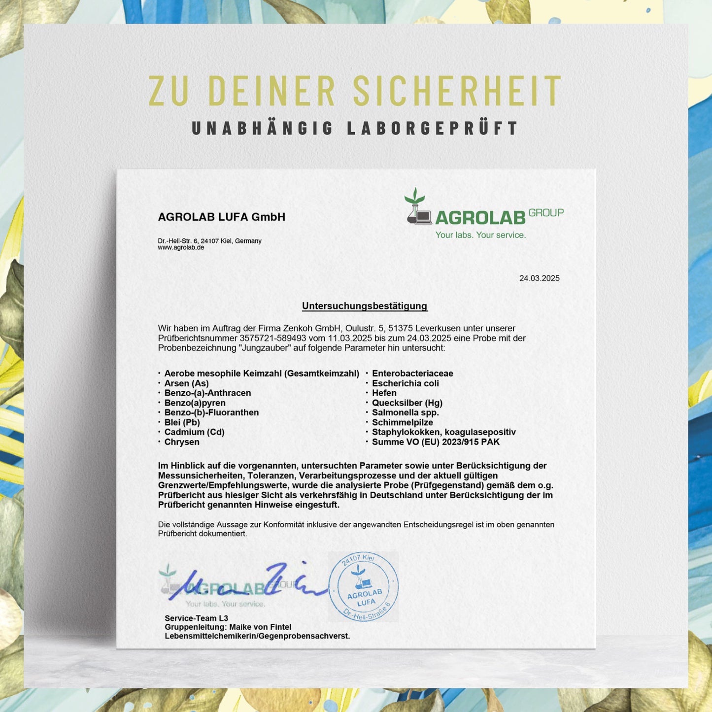 Jungzauber: Spermidin-Komplex