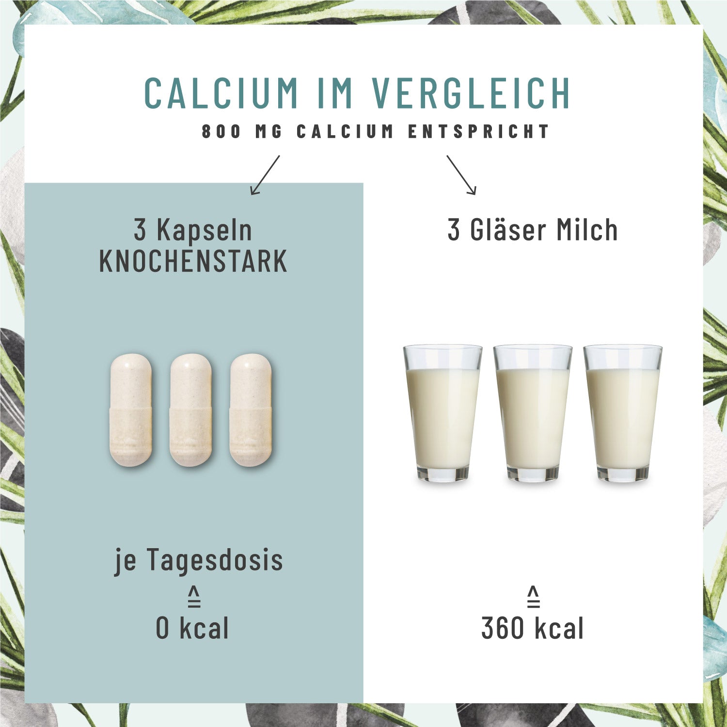 Knochenstark Calcium-Komplex Calcium Vergleich