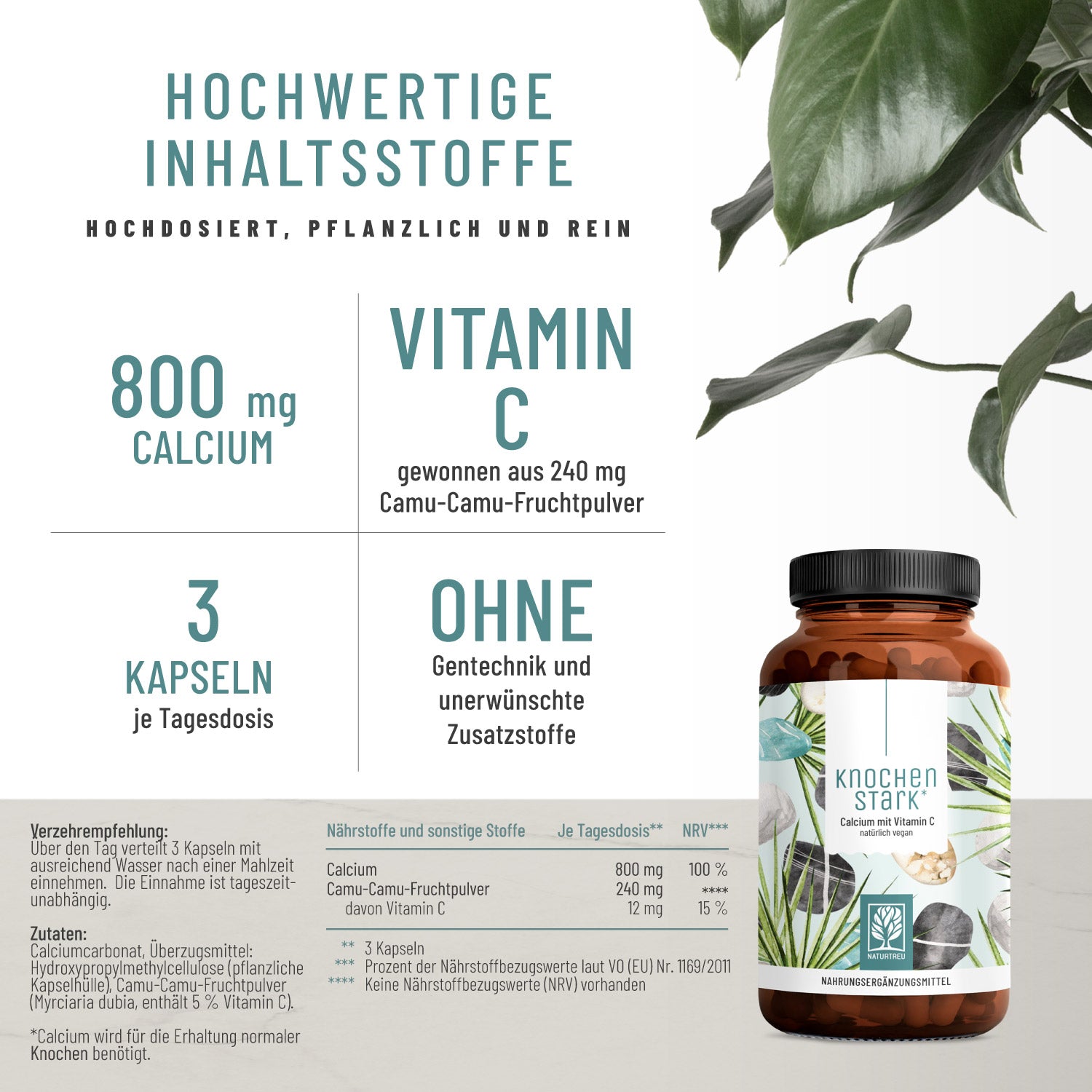 Knochenstark Calcium VitaminC Hochwertige Inhaltsstoffe