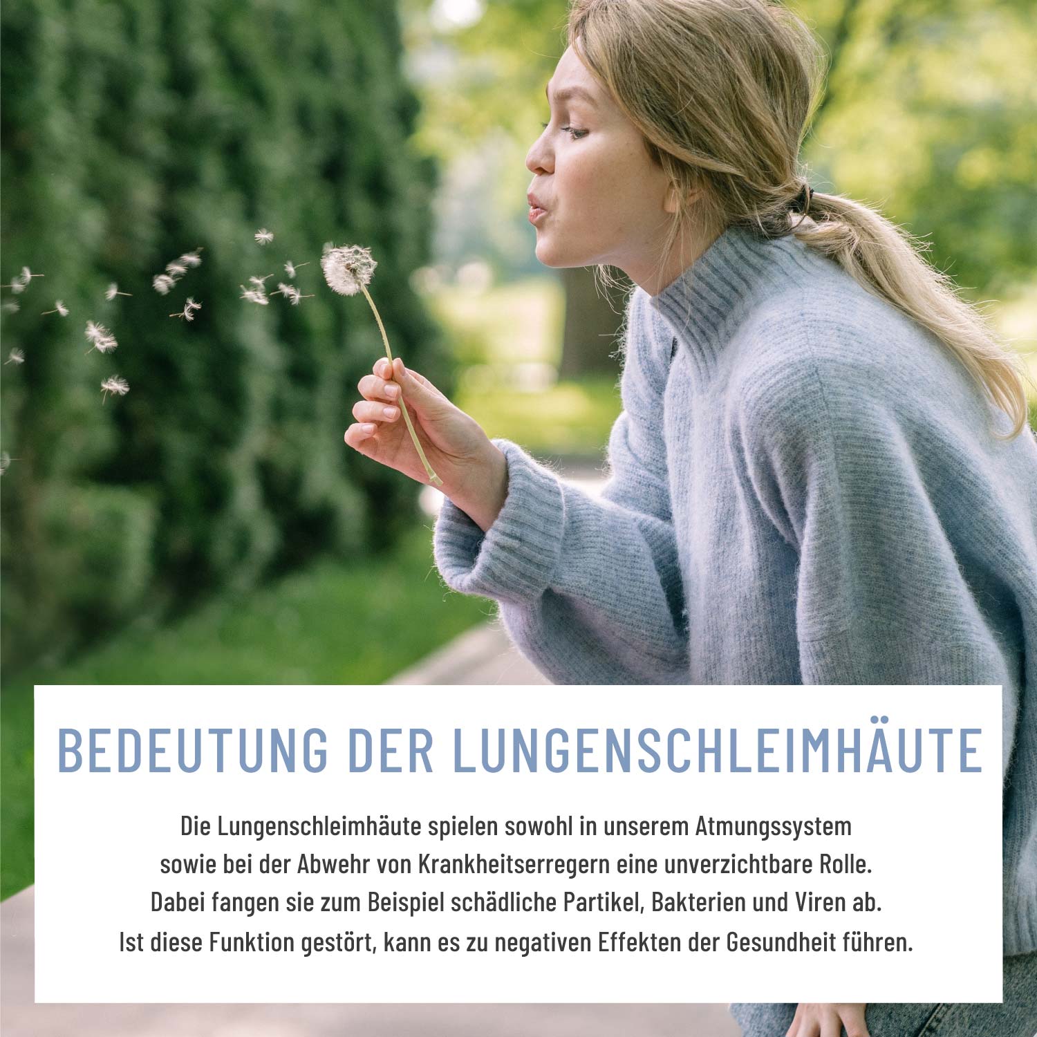 Lungenkraut Creative Moodbild