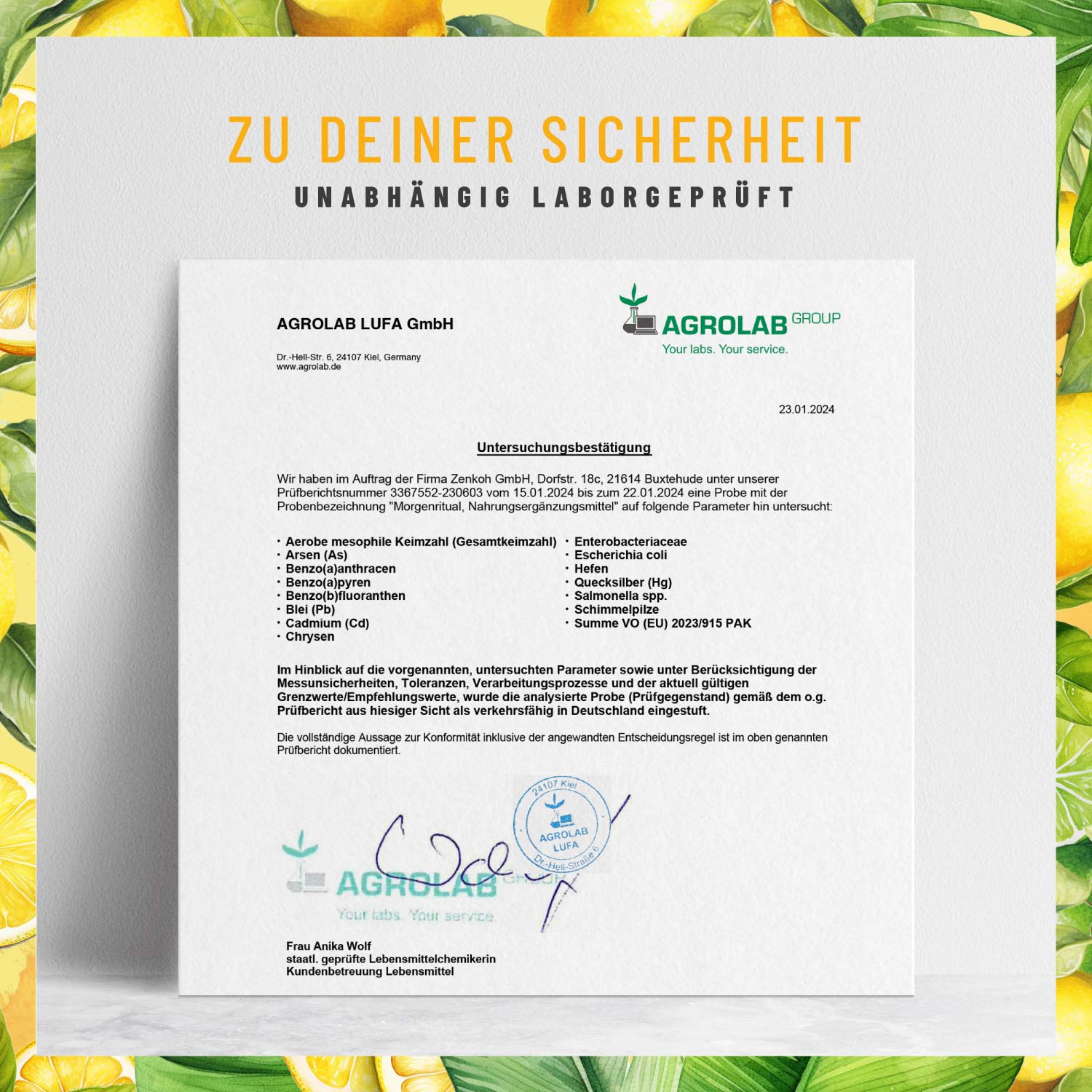 Morgenritual Stoffwechsel-Routine Sachet laborzertifiziert Pulver