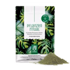 Probierpaket: Pflanzenritual Grünes Superfood Pulver
