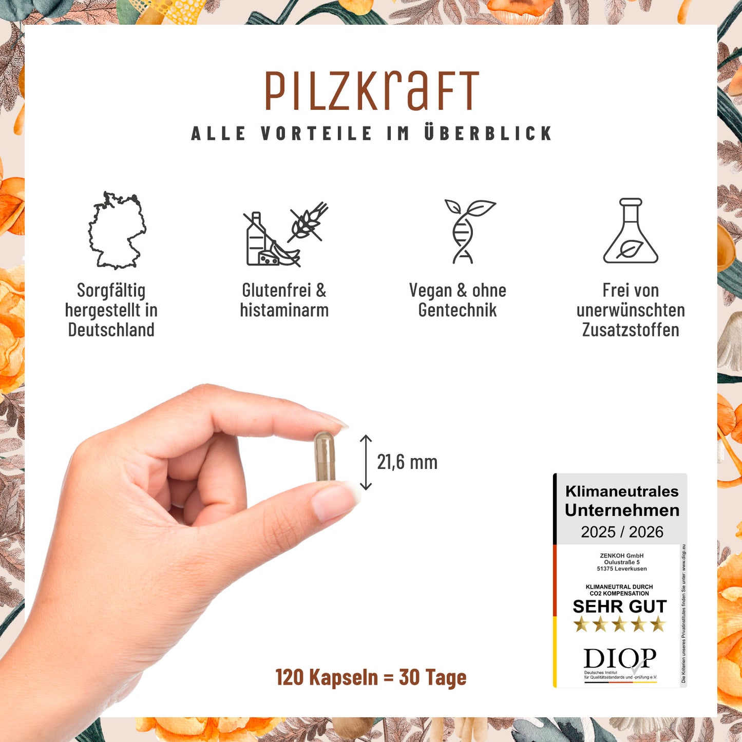 Pilzkraft Pilz-Komplex Alle Vorteile im Ueberblick