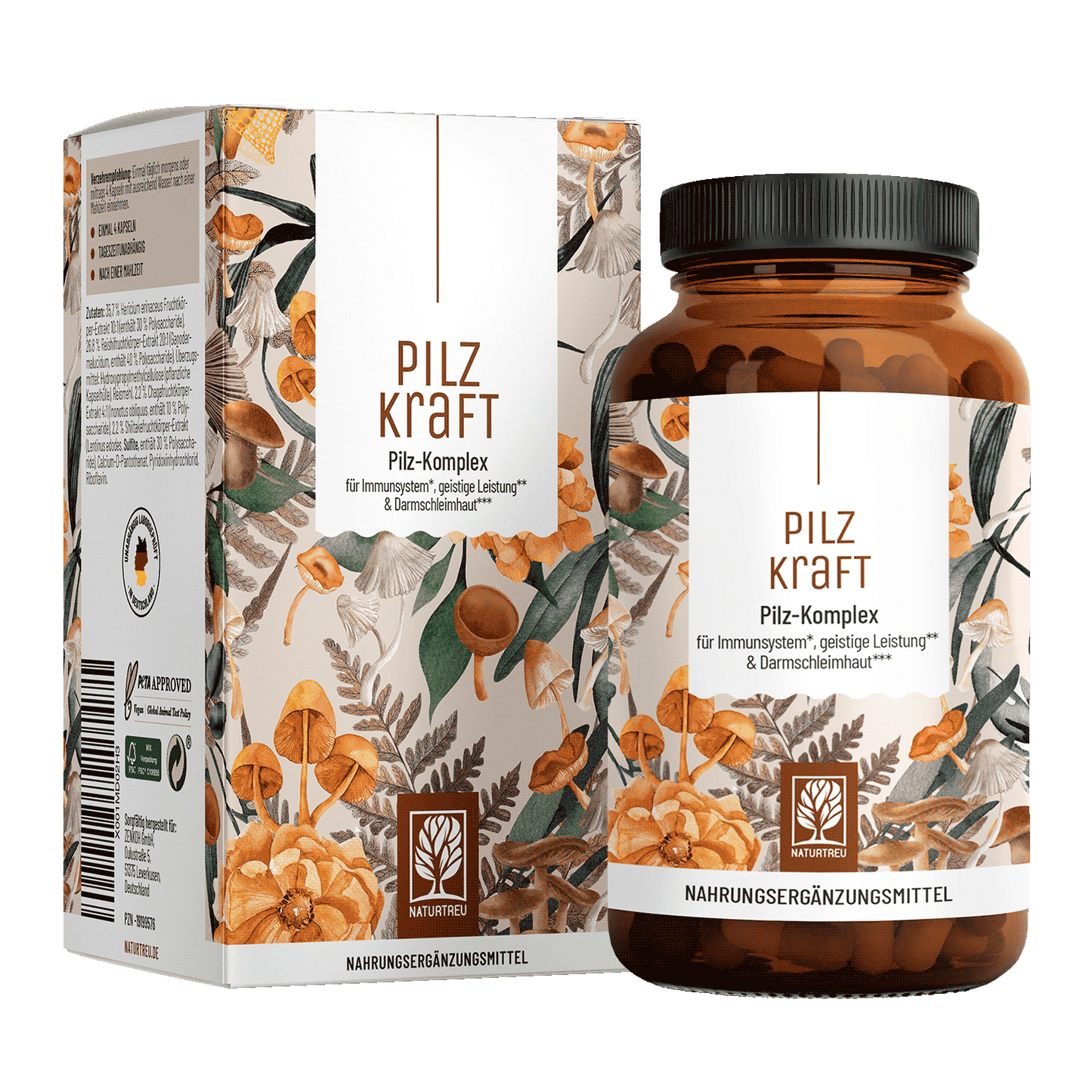 Pilzkraft Pilz Komplex Titelbild