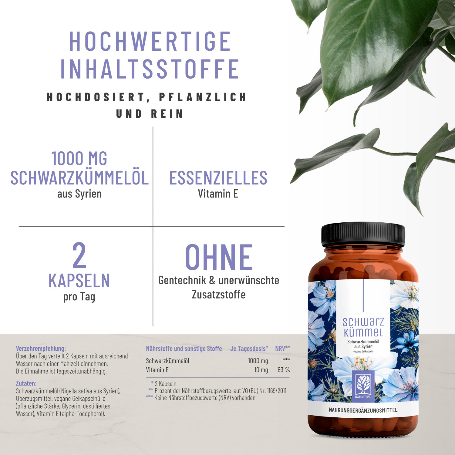 Schwarzkuemmel Schwarzkuemmeloel Hochwertige Inhaltsstoffe