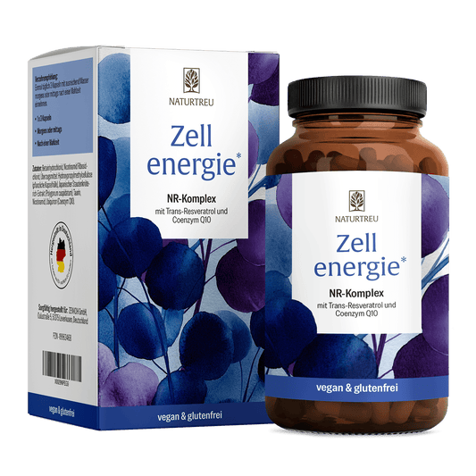 Zellenergie NR-Komplex Titelbild