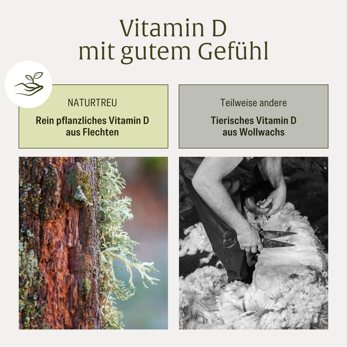 Sonnenfreund: Vitamin D3 & K2 Tropfen für Erwachsene (1.000 I.E.)