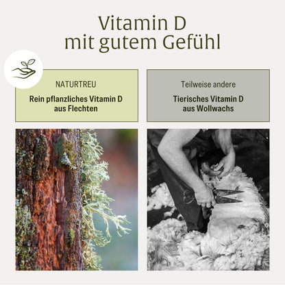 Sonnenfreund: Vitamin D3 & K2 Tropfen für Erwachsene (1.000 I.E.)