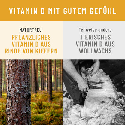 Sonnenschatz Creatives Onlineshop vegan