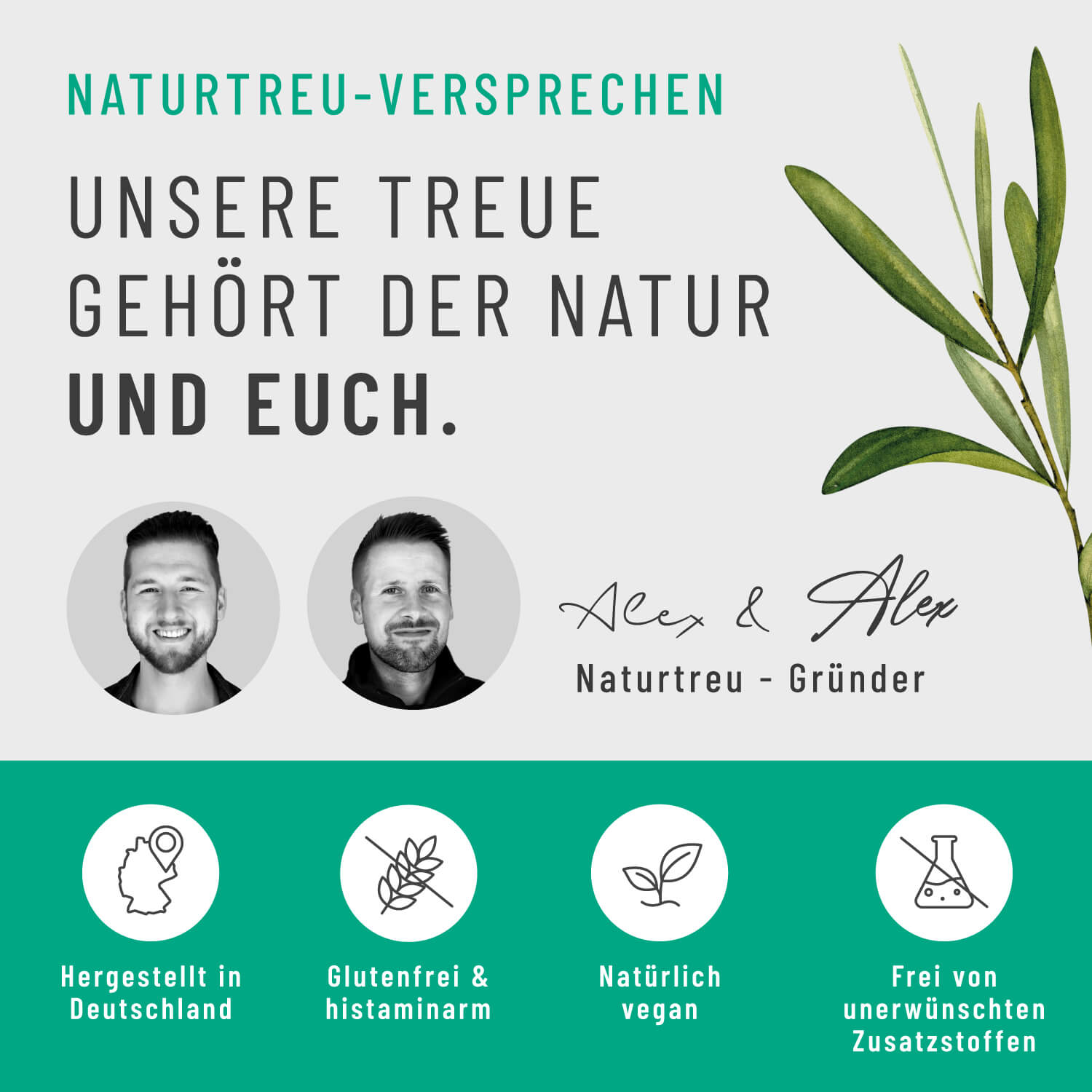 Onlineshop Creative Set Algenknirps Naturtreu Versprechen