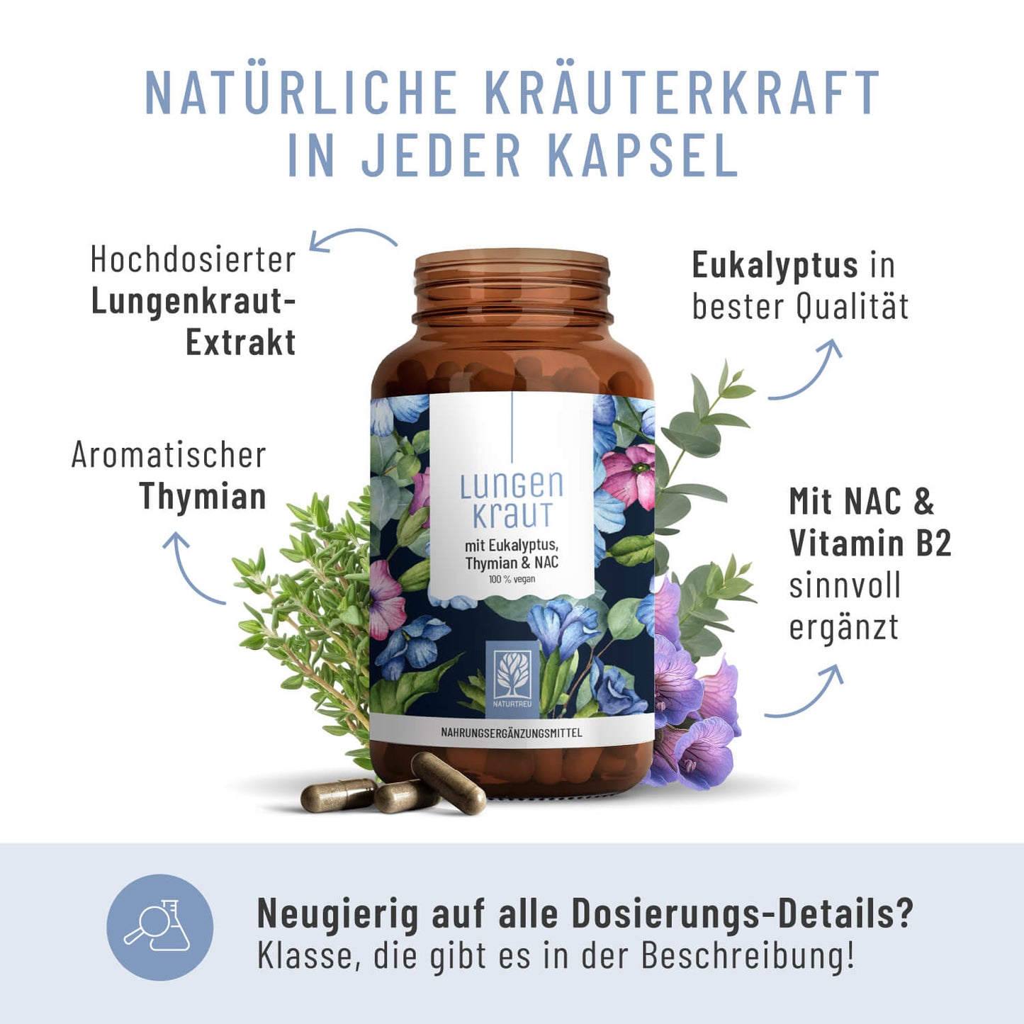 Lungenkraut Onlineshop Inhaltsstoffe