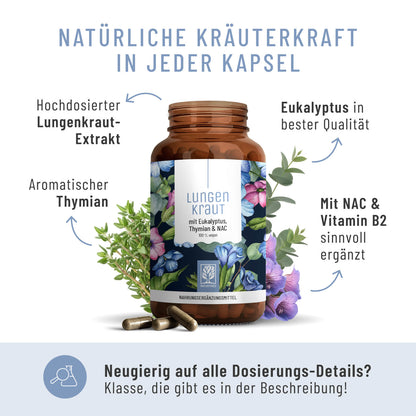 Lungenkraut Onlineshop Inhaltsstoffe
