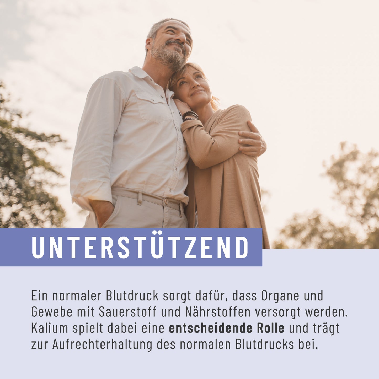 Blutdruck: OPC-Komplex mit Q10, Kalium und Knoblauch