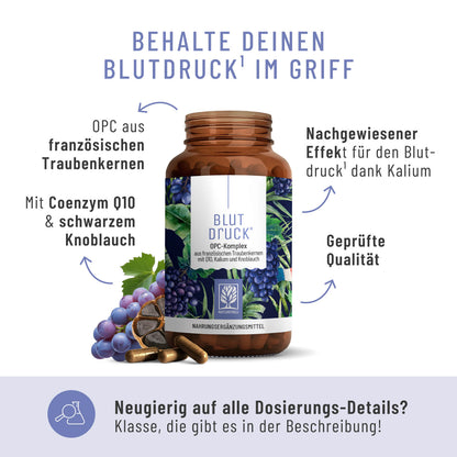 Blutdruck: OPC-Komplex mit Q10, Kalium und Knoblauch