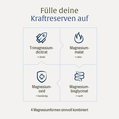 Kraftreserve Magnesiumpuzzle