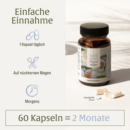 Florasanft: Kulturen-Komplex HIT