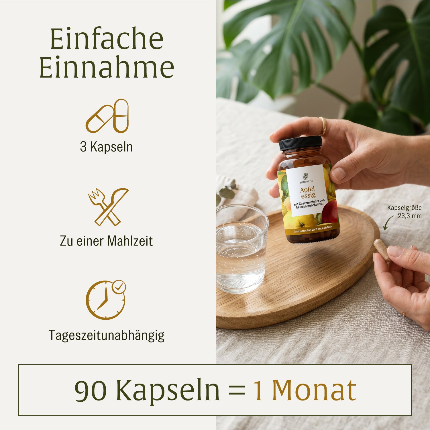 Apfelessig Creatives DE Onlineshop Leichte Einnahme