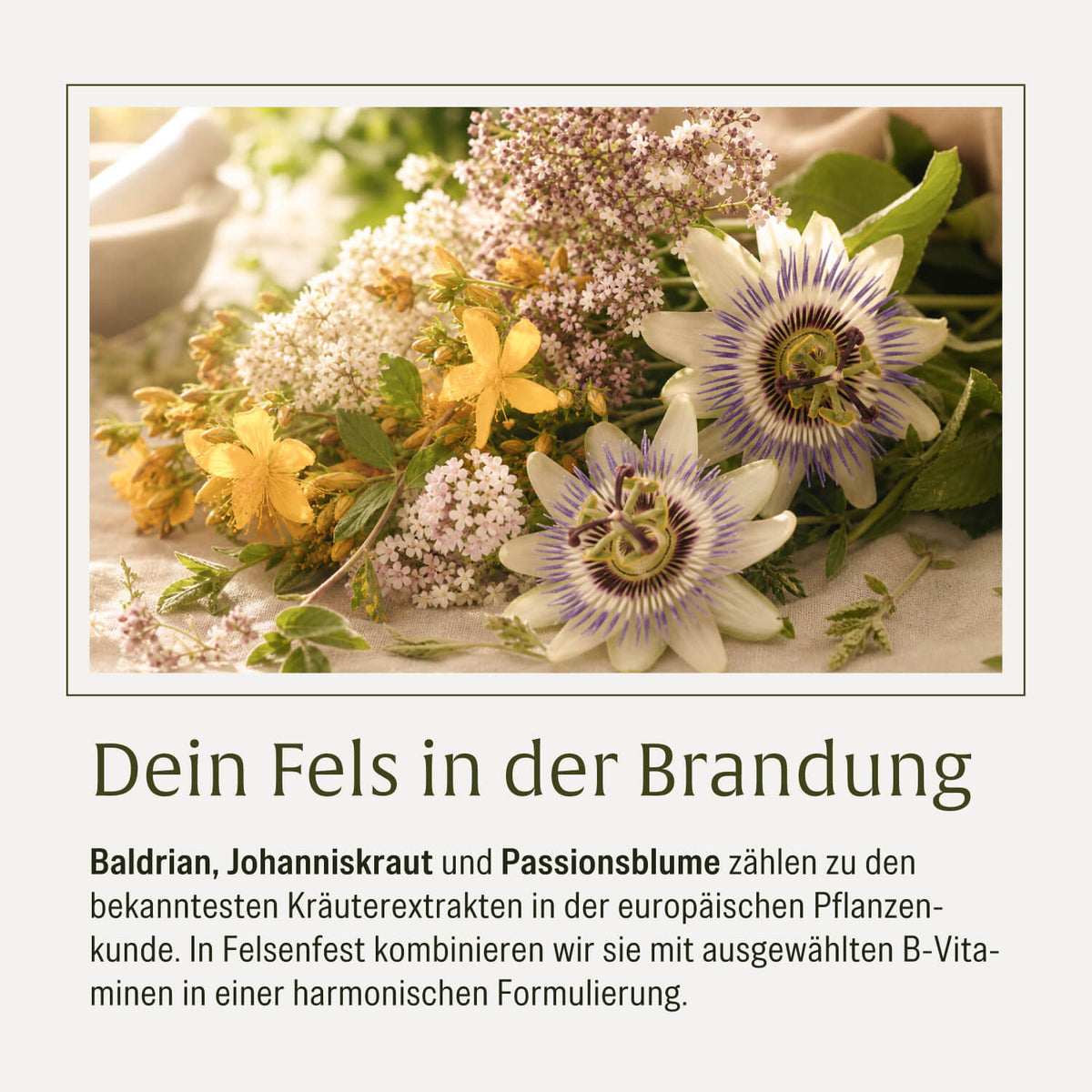 Felsenfest Passionsblume Baldrian Johanniskraut-Komplex Moodbild