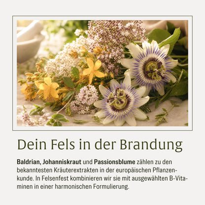 Felsenfest Passionsblume Baldrian Johanniskraut-Komplex Moodbild