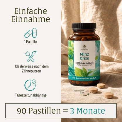 Minzbrise mit Milchsäurebakterien