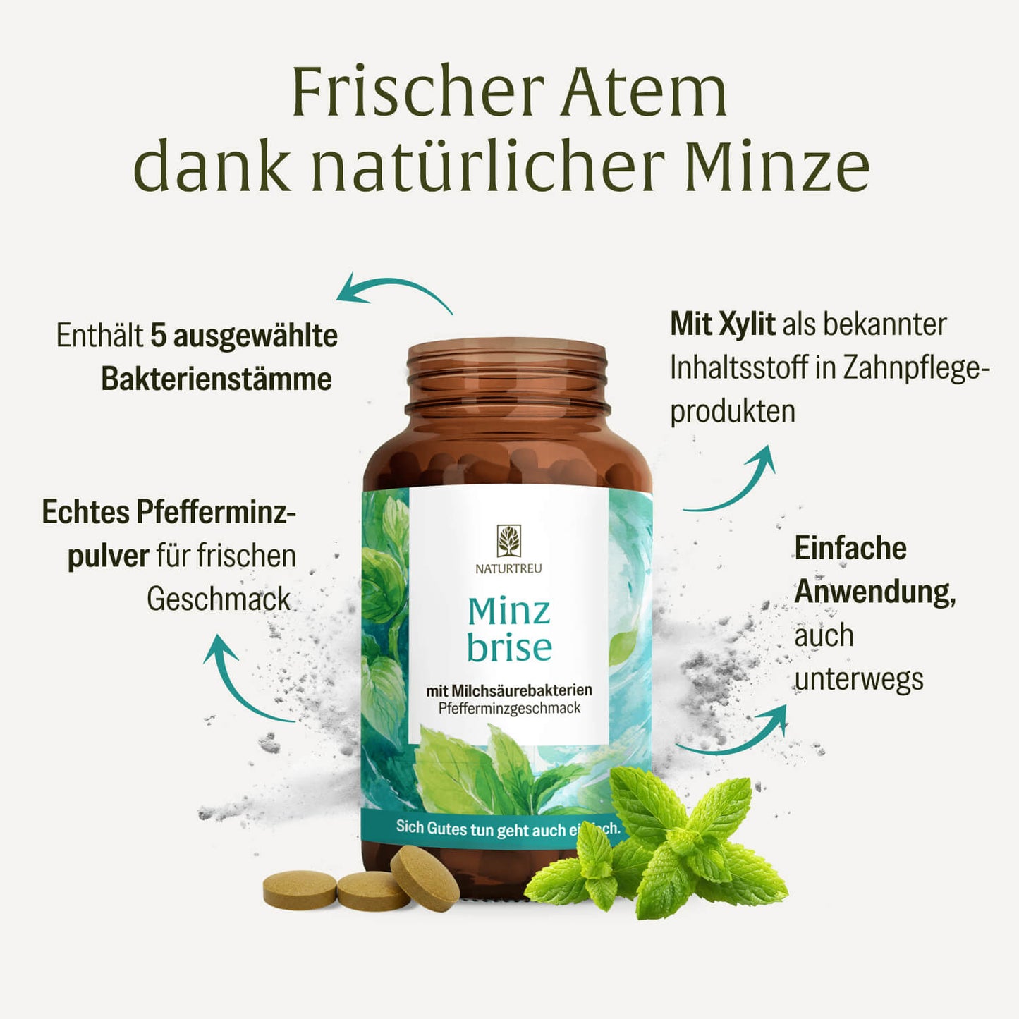 Minzbrise mit Milchsäurebakterien