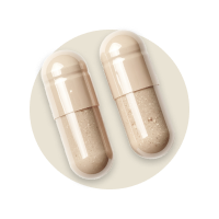 2x Enzymhelden