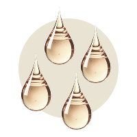 4 Tropfen Sonnenelixier (jeden 20. Tag)