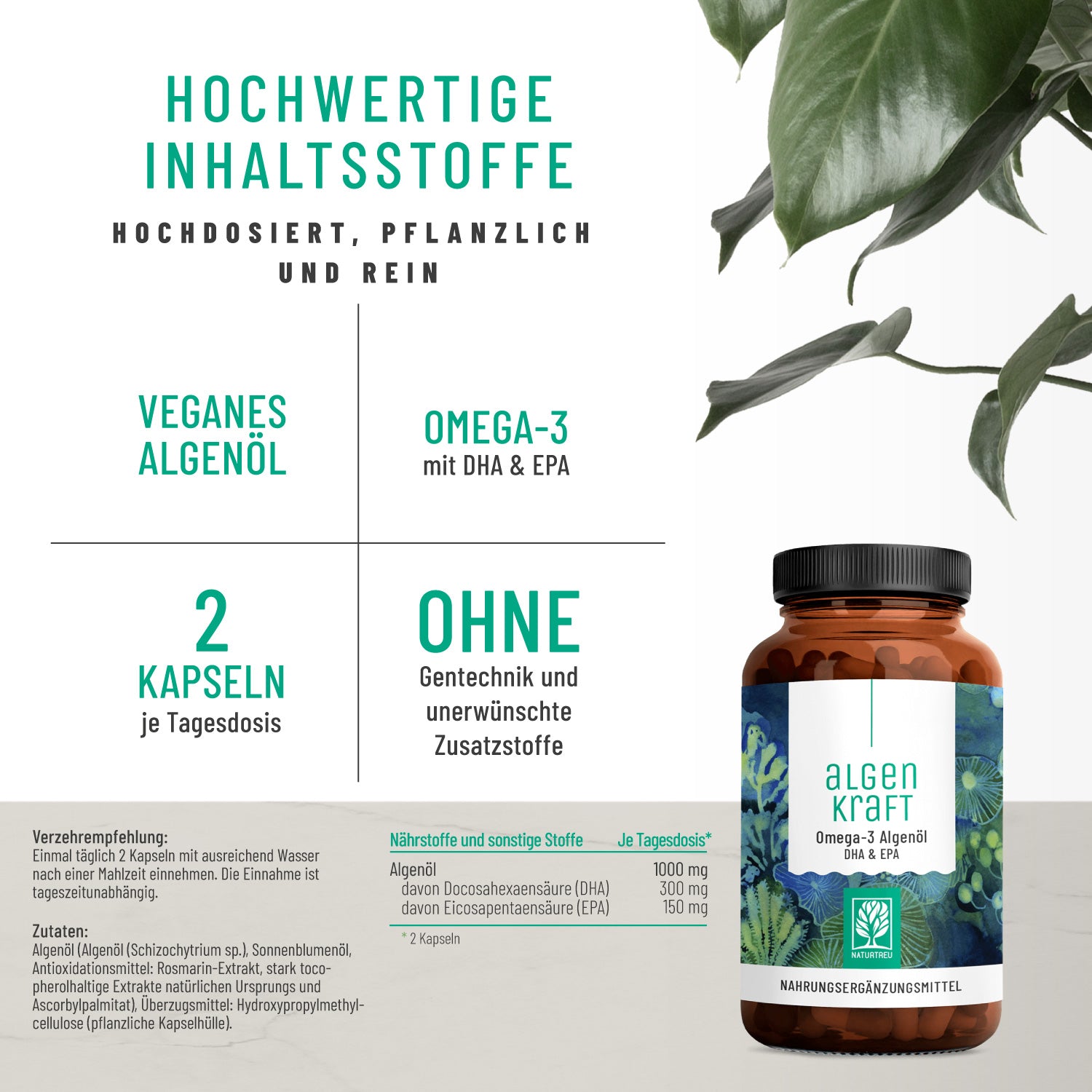 Algenkraft Omega3 Algenoel DHA EPA Hochw Inhaltsstoffe 