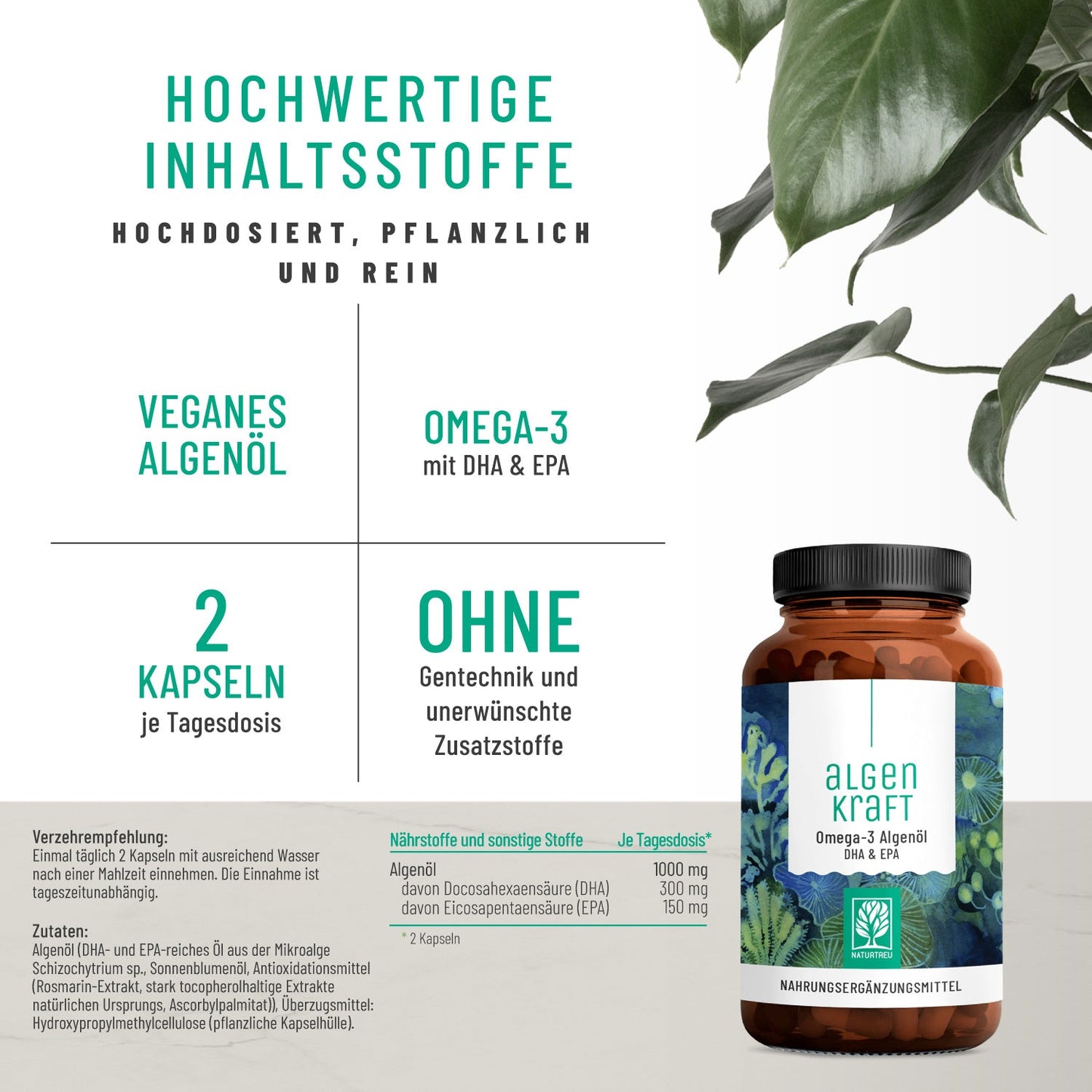 30 Tage Starter Sparpaket: Grundversorgung mit unseren Allroundern