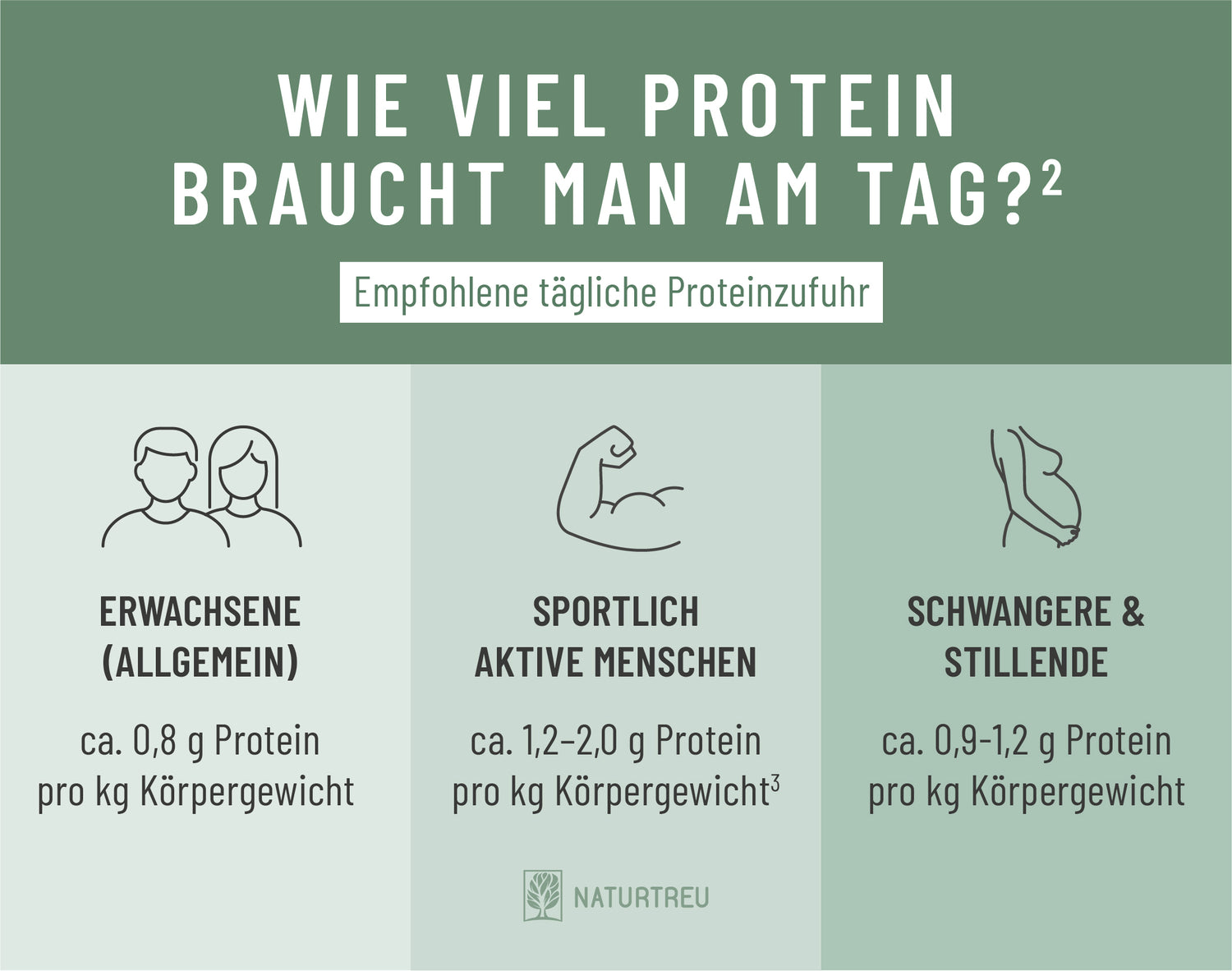 So viel Protein braucht man am Tag 