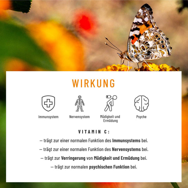 Frühjahrsmüdigkeit - Was tun? – NATURTREU
