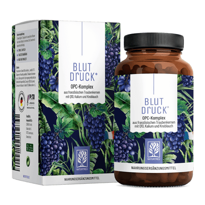 Blutdruck Titelbild