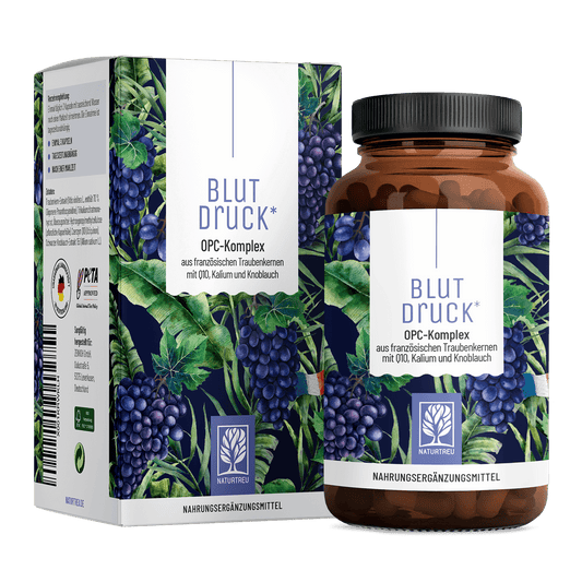 Blutdruck Titelbild