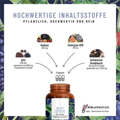 Starke Jahre Paket: Prostakraft, Knochenstark & Blutdruck