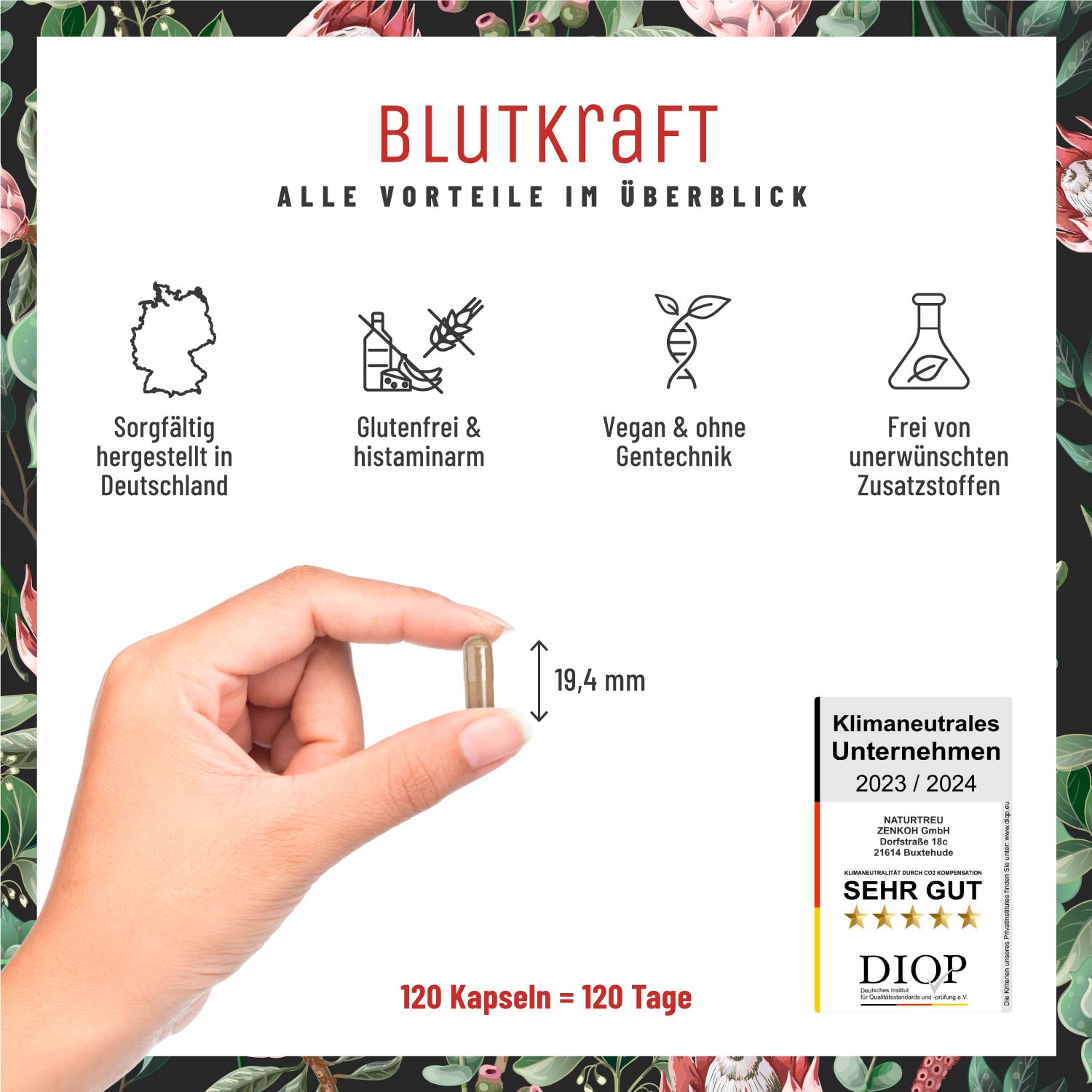 Blutkraft Eisen-Komplex Alle Vorteile