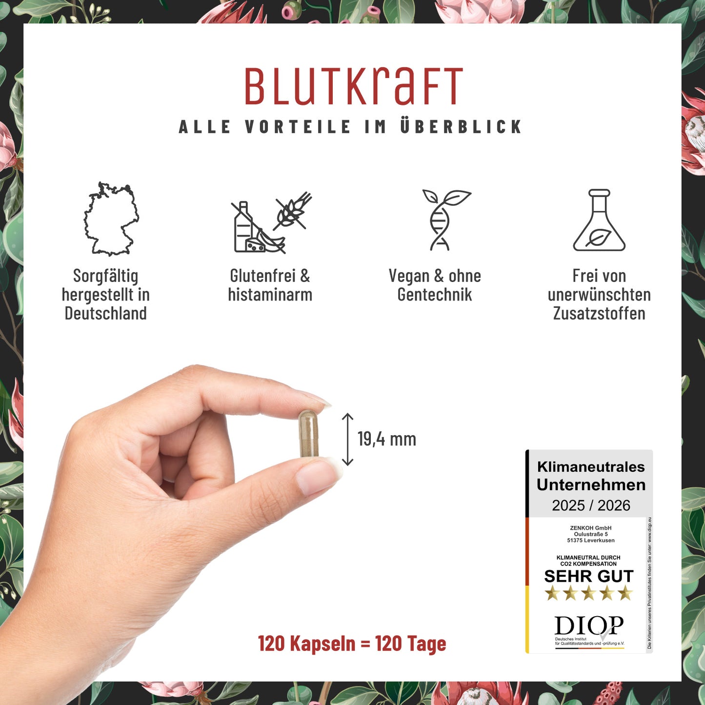 Blutkraft Eisen-Komplex Alle Vorteile