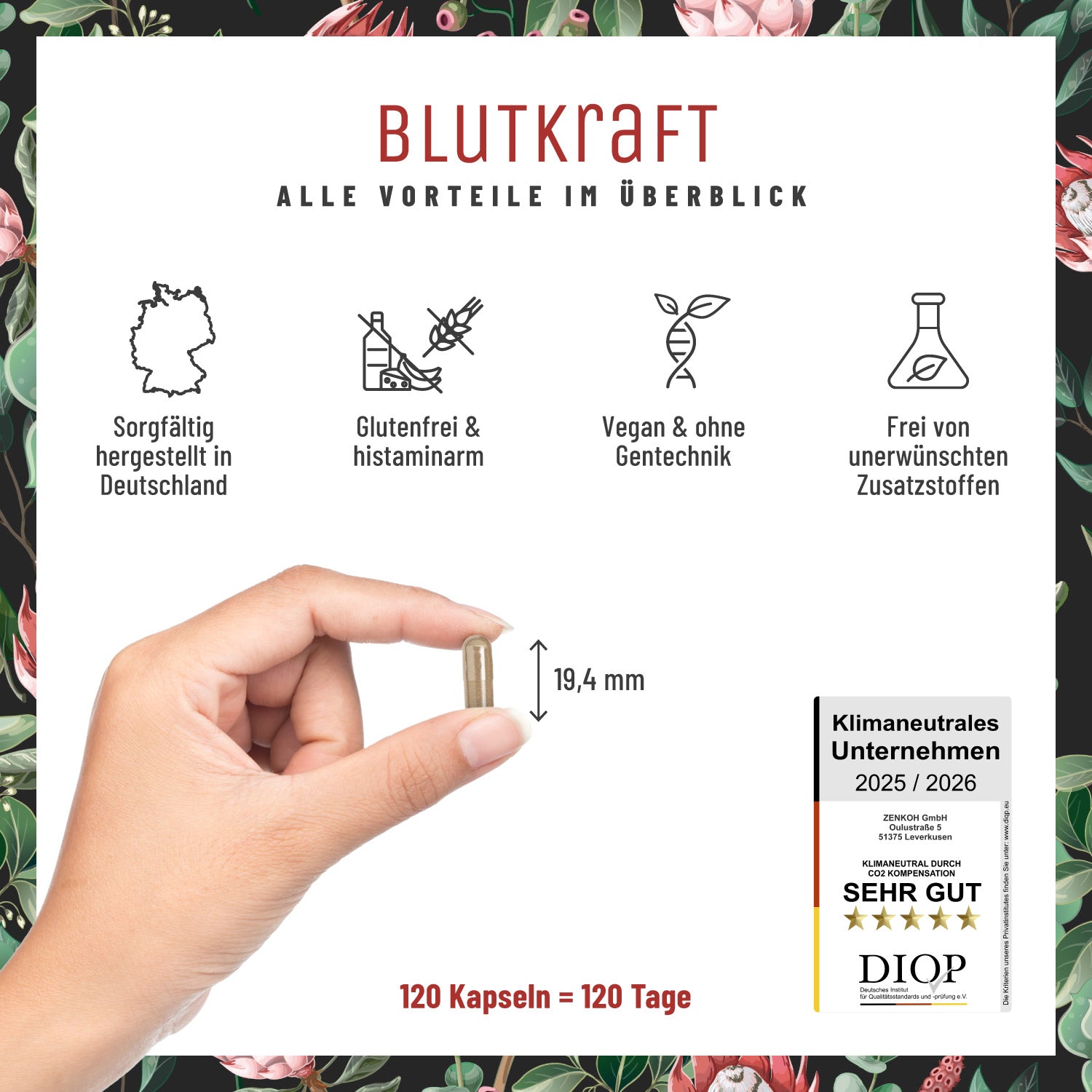 Blutkraft Eisen-Komplex Alle Vorteile