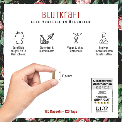 Blutkraft Eisen-Komplex Alle Vorteile