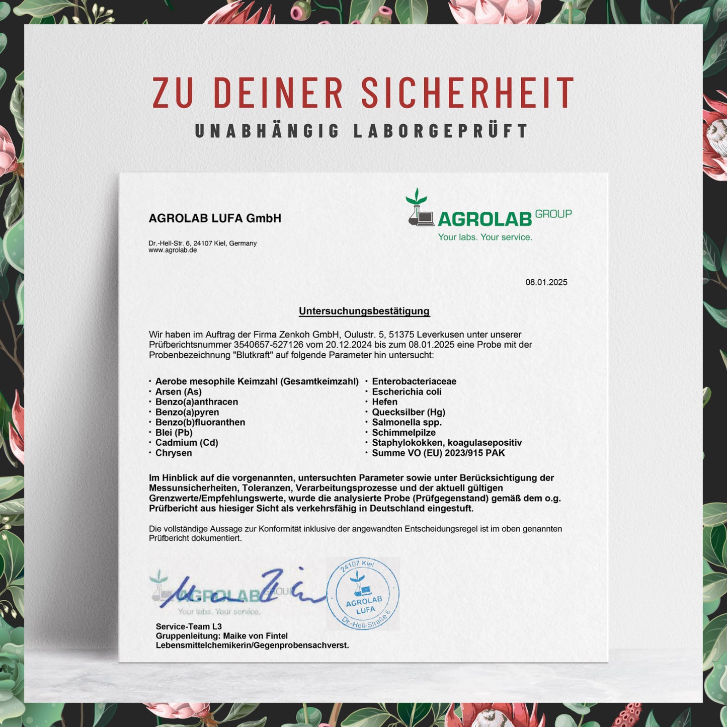 Blutkraft Eisen-Komplex Laborzertifikat